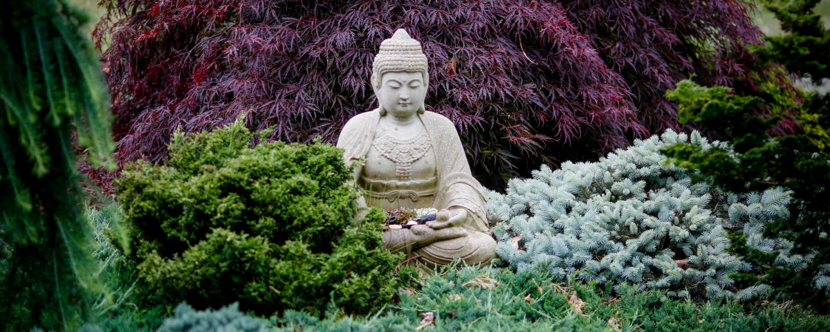 IMS Mission and Values